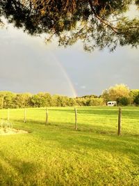 Scenic view of field against rainbow in sky