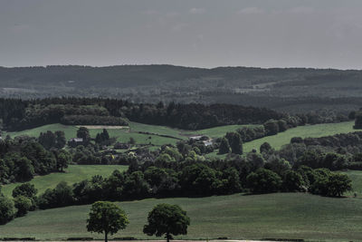 Scenic view of trees on field against sky