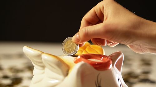 Cropped hand putting coin in piggy bank