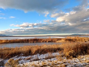 Scenic view of landscape against sky