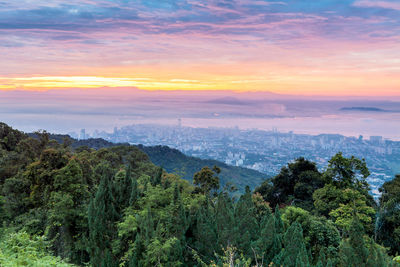 Scenic view of forest against sky during sunset