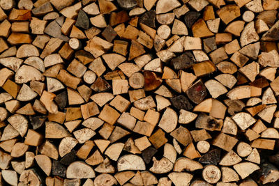 Full frame shot of logs in forest