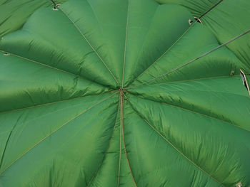 Closeup of green hot air balloon being inflated with hot air