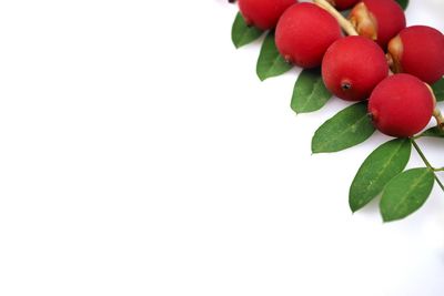 Close-up of fruits against white background