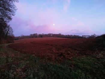 Scenic view of field against sky during sunset