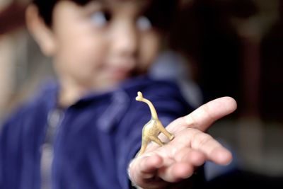 Close-up of boy holding toy animal