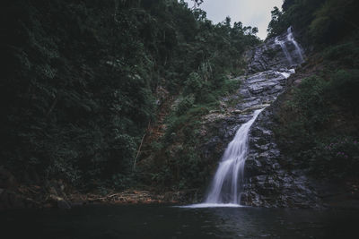 Scenic view of waterfall in forest