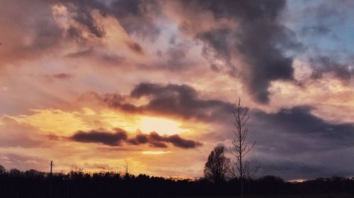 Low angle view of silhouette trees against sky at sunset