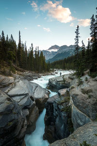 Scenic view of river by trees against sky