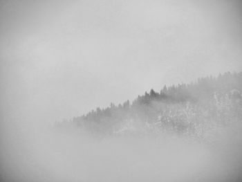 Scenic view of forest in foggy weather against sky