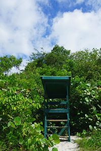 Empty road with trees in background