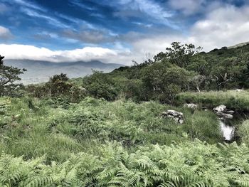 View of landscape against cloudy sky