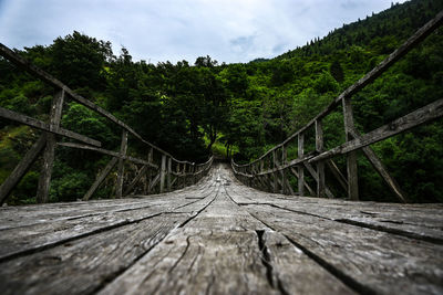 Wooden footbridge amidst trees in forest against sky