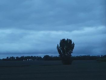 Silhouette trees on field against sky