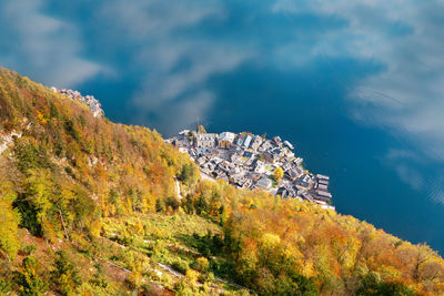 Scenic view of tree by mountain against sky