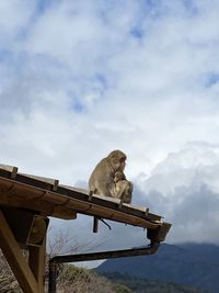 Low angle view of security camera against sky