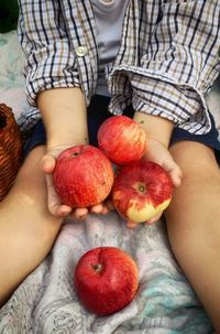 My son helped me to collect apples