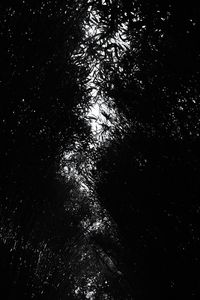 Low angle view of tree against sky at night