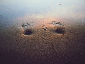 High angle view of footprints on wet sand