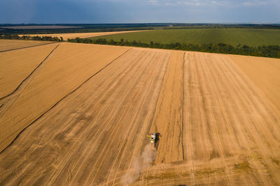 Scenic view of agricultural field