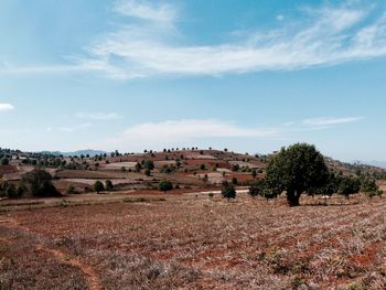 Landscape against sky