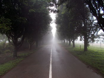 Road passing through trees
