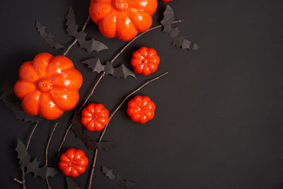 Close-up of orange fruits against black background