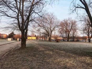 Street amidst bare trees and buildings against sky