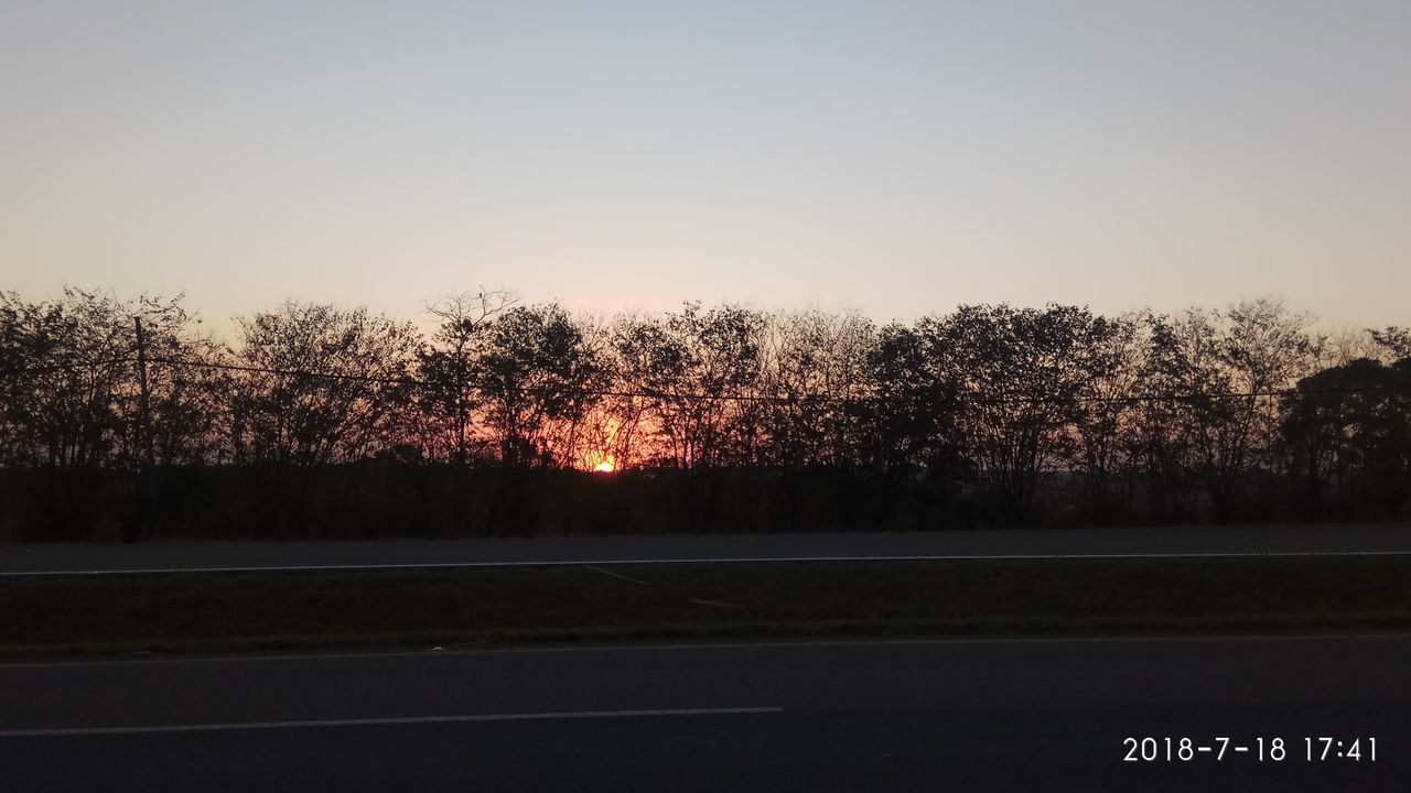 SILHOUETTE TREES AGAINST CLEAR SKY DURING SUNSET