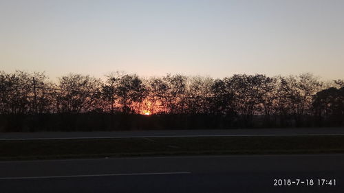 Silhouette trees by road against clear sky during sunset