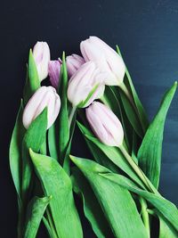 Close-up of flower buds on table