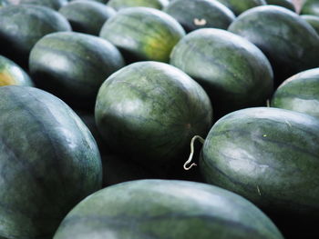 Full frame shot of watermelons