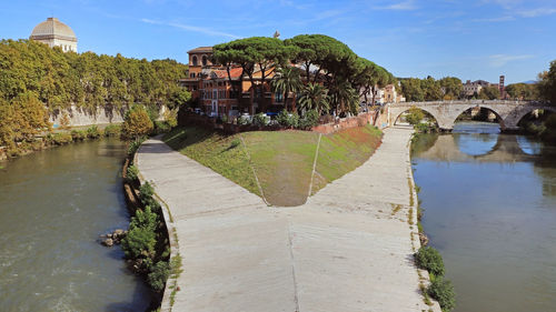 Plants in river against buildings