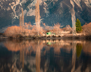 Reflection of trees in lake