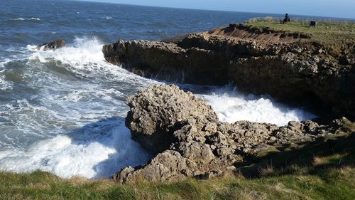 Scenic view of sea shore