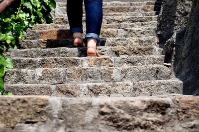 Low section of child on steps
