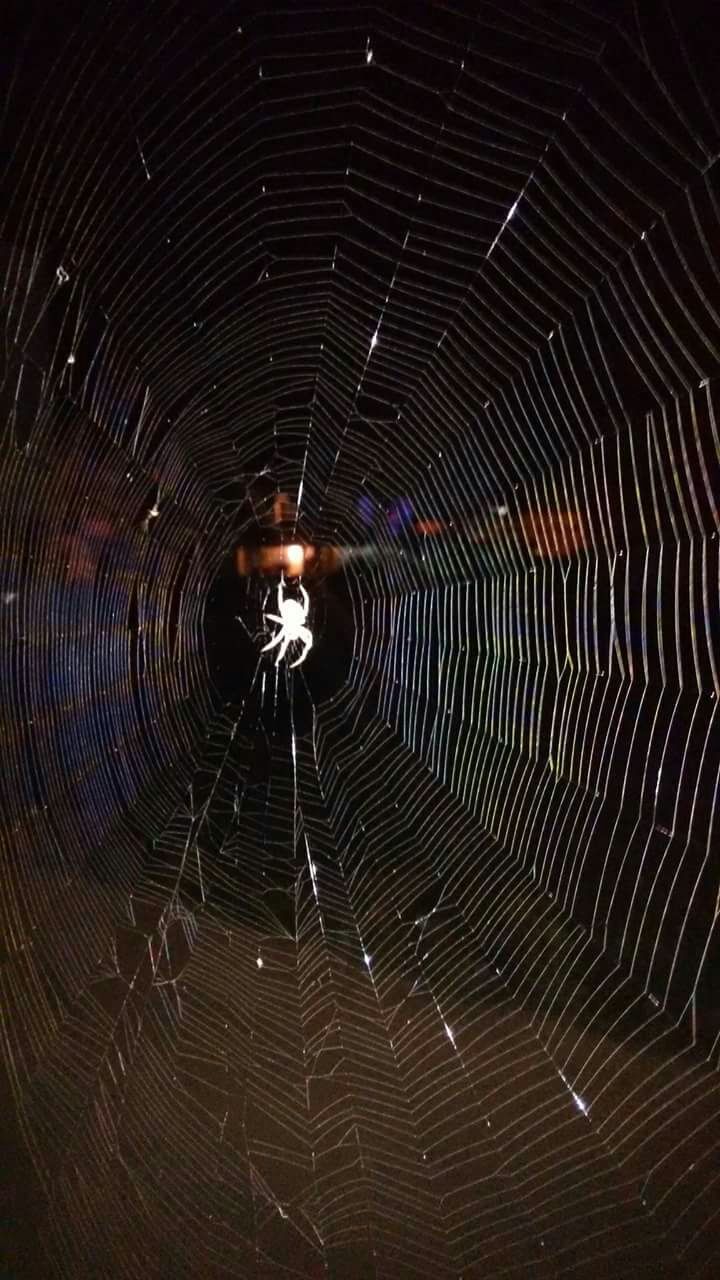 indoors, pattern, tunnel, illuminated, night, metal, full frame, spider web, backgrounds, full length, no people, close-up, lighting equipment, spinning, wall - building feature, ceiling, electricity, connection