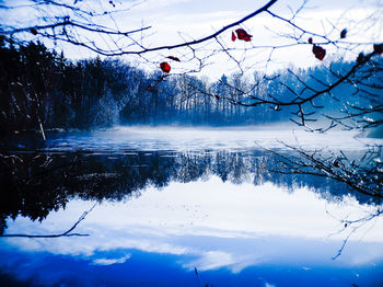 Scenic view of snow covered plants against sky