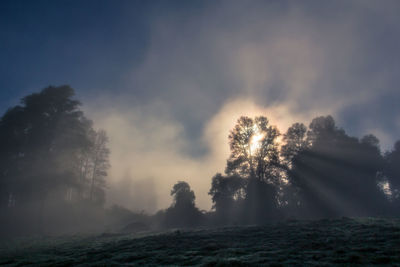 Silhouette trees on field against sky