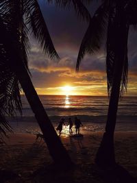 Silhouette palm trees on beach against sky during sunset