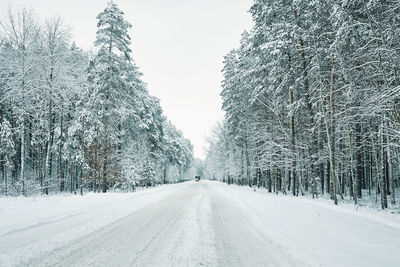 Snowy road in winter forest with moving car