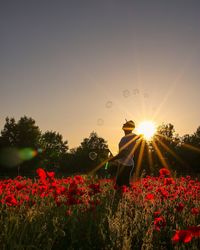 Flowers on field against clear sky during sunset