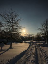 Bare trees on snow covered field against sky