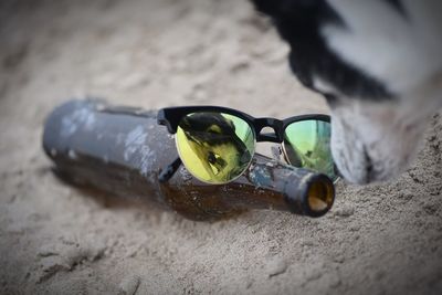 Close-up of a bird