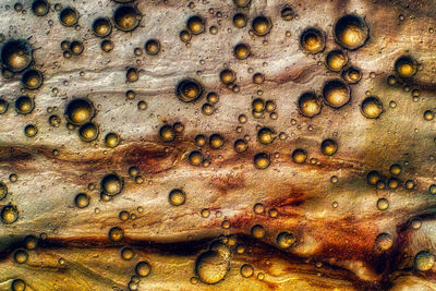 Full frame shot of water drops on rusty metal