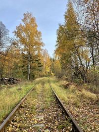 Railroad tracks amidst trees during autumn