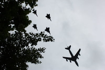 Low angle view of silhouette birds flying against sky