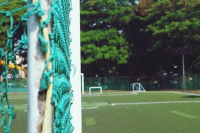 Close-up of ball hanging on tree