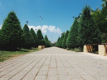 View of street amidst trees against sky
