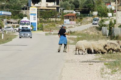 People walking on street